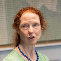 Elizabeth Carey LAPF Roundtable